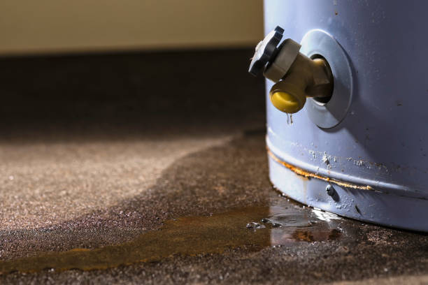 Tatamy, PA Water damage restoration Pros