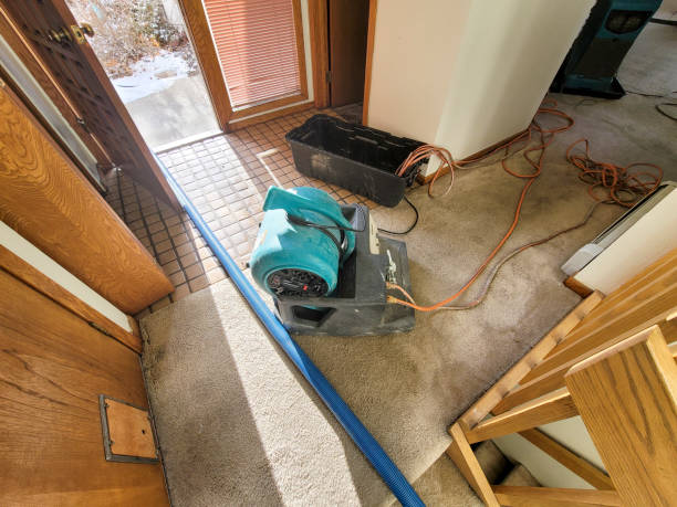 Best Mold removal after water damage  in Tatamy, PA