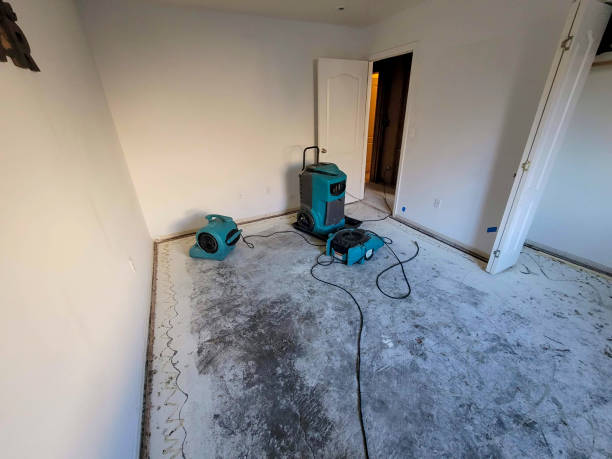 Best Fire Damage Restoration  in Tatamy, PA