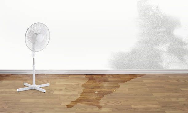 Best Flood restoration services  in Tatamy, PA